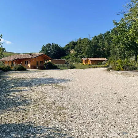 Colleolivi