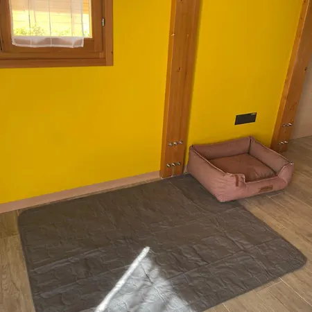 Colleolivi Appartement