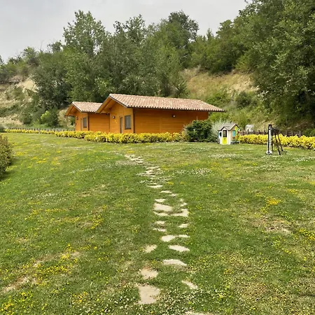 Colleolivi Serra deʼ Conti